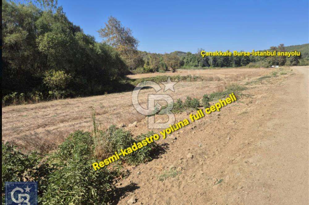LAPSEKİ GÜRECİ'DE KÖPRÜYE VE ANAYOLA YAKIN"4248M²"SÜPER ARAZİ.
