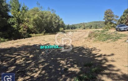 LAPSEKİ GÜRECİ'DE KÖPRÜYE VE ANAYOLA YAKIN"4248M²"SÜPER ARAZİ.