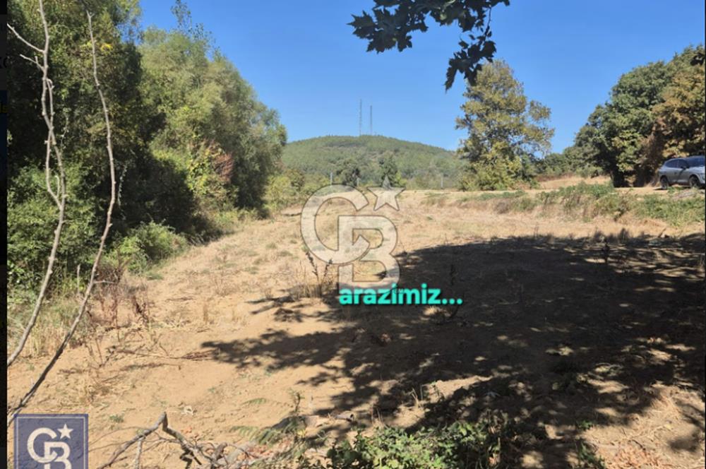 LAPSEKİ GÜRECİ'DE KÖPRÜYE VE ANAYOLA YAKIN"4248M²"SÜPER ARAZİ.