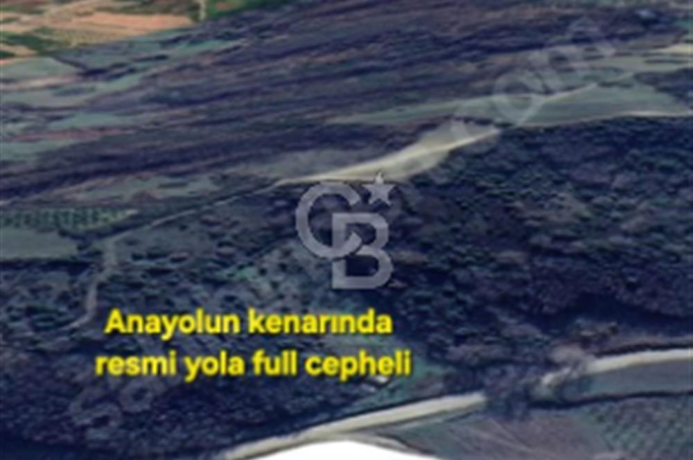 LAPSEKİ GÜRECİ'DE KÖPRÜYE VE ANAYOLA YAKIN"4248M²"SÜPER ARAZİ.