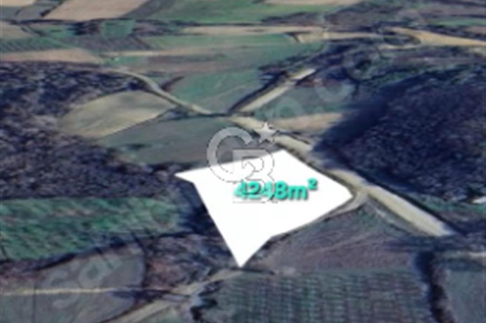 LAPSEKİ GÜRECİ'DE KÖPRÜYE VE ANAYOLA YAKIN"4248M²"SÜPER ARAZİ.