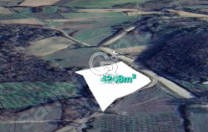 LAPSEKİ GÜRECİ'DE KÖPRÜYE VE ANAYOLA YAKIN"4248M²"SÜPER ARAZİ.