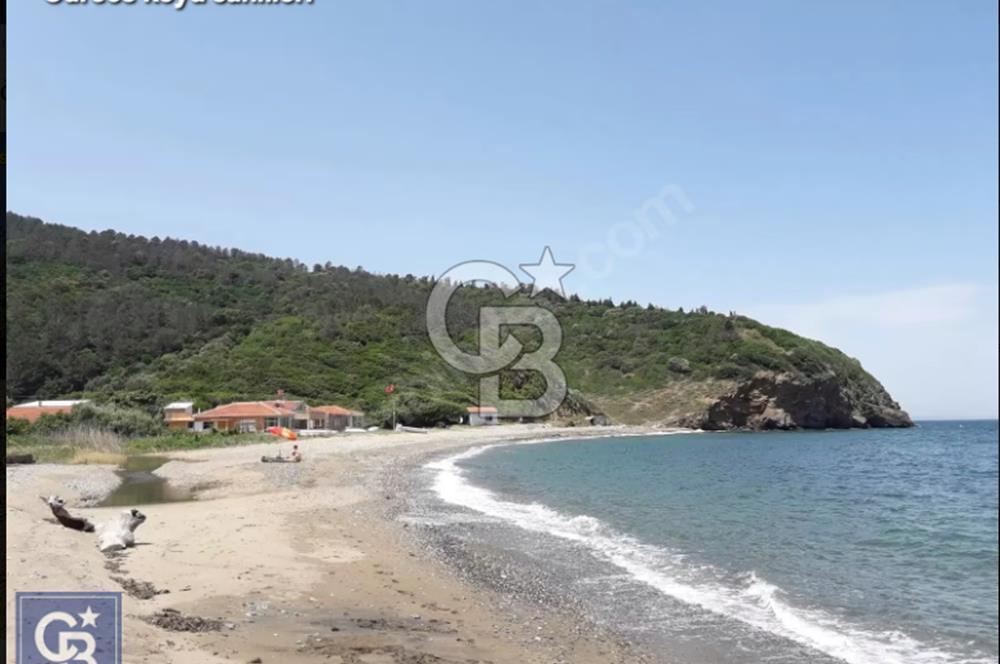 LAPSEKİ GÜRECİ'DE KÖPRÜYE VE ANAYOLA YAKIN"4248M²"SÜPER ARAZİ.