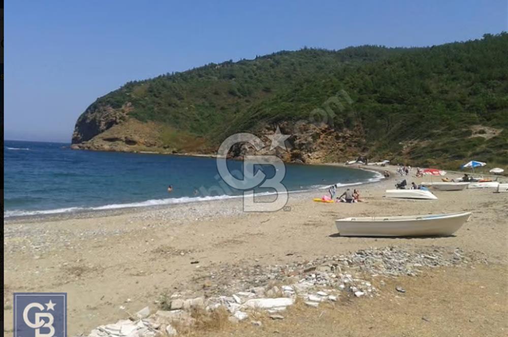 LAPSEKİ GÜRECİ'DE KÖPRÜYE VE ANAYOLA YAKIN"4248M²"SÜPER ARAZİ.