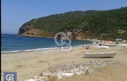 LAPSEKİ GÜRECİ'DE KÖPRÜYE VE ANAYOLA YAKIN"4248M²"SÜPER ARAZİ.