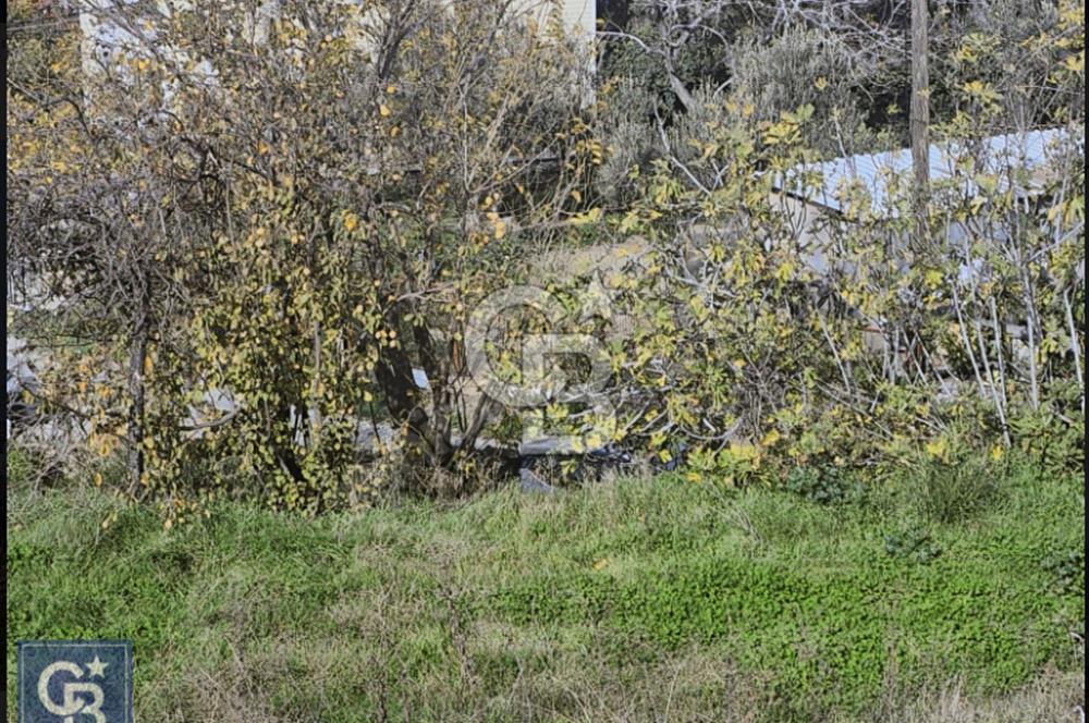 ÇANAKKALE/MERKEZ ÇINARLI'DA DENİZ MANZARALI KÖY İÇİ "353M2 ARSA"