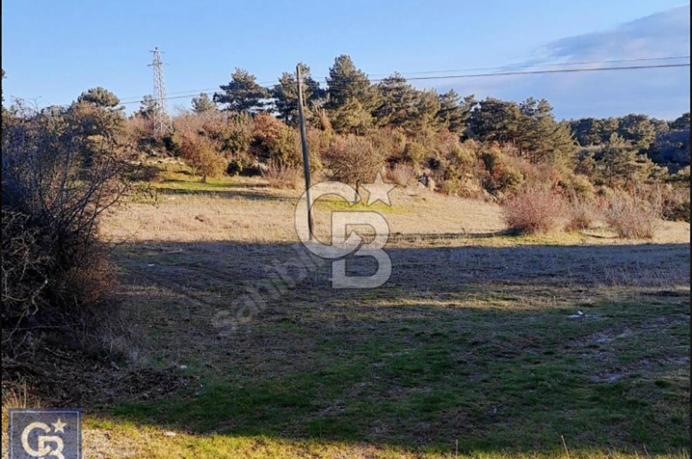 ÇANAKKALE/AYVACIK'TA EKO TURİZM KURUM ONAYLARI ALINMIŞ 15.520M²