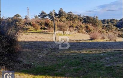 ÇANAKKALE/AYVACIK'TA EKO TURİZM KURUM ONAYLARI ALINMIŞ 15.520M²