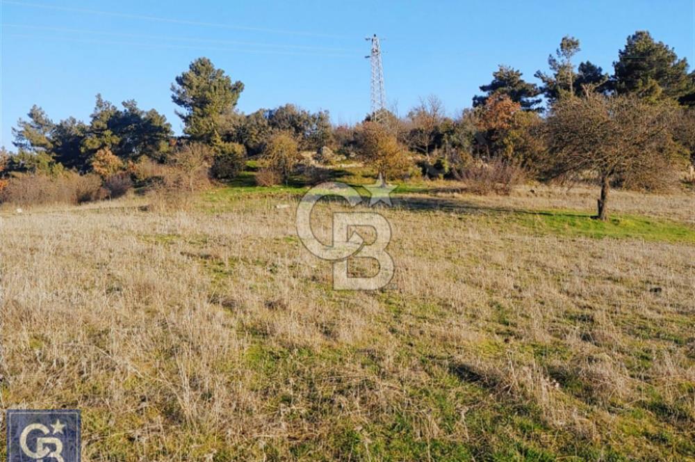 ÇANAKKALE/AYVACIK'TA EKO TURİZM KURUM ONAYLARI ALINMIŞ 15.520M²