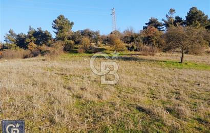 ÇANAKKALE/AYVACIK'TA EKO TURİZM KURUM ONAYLARI ALINMIŞ 15.520M²