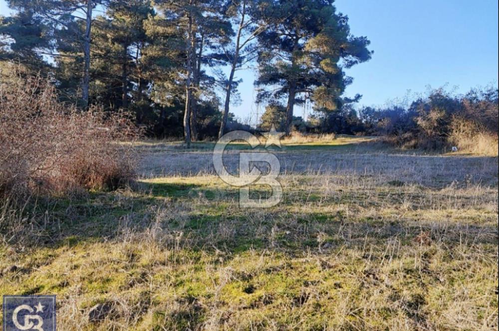 ÇANAKKALE/AYVACIK'TA EKO TURİZM KURUM ONAYLARI ALINMIŞ 15.520M²