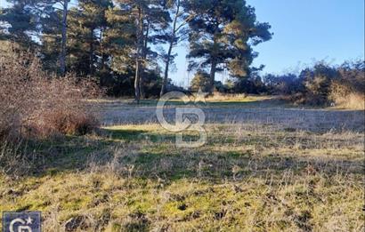 ÇANAKKALE/AYVACIK'TA EKO TURİZM KURUM ONAYLARI ALINMIŞ 15.520M²