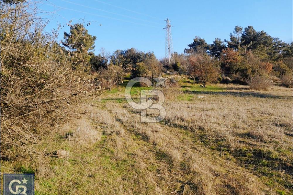 ÇANAKKALE/AYVACIK'TA EKO TURİZM KURUM ONAYLARI ALINMIŞ 15.520M²