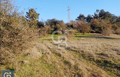 ÇANAKKALE/AYVACIK'TA EKO TURİZM KURUM ONAYLARI ALINMIŞ 15.520M²