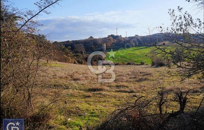 ÇANAKKALE/AYVACIK'TA EKO TURİZM KURUM ONAYLARI ALINMIŞ 15.520M²