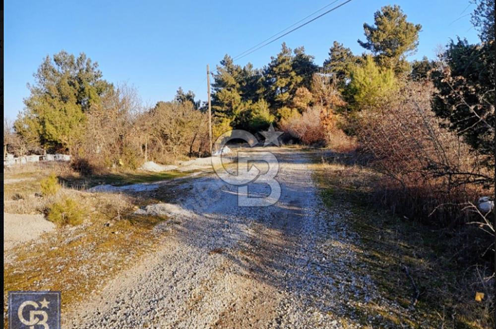 ÇANAKKALE/AYVACIK'TA EKO TURİZM KURUM ONAYLARI ALINMIŞ 15.520M²