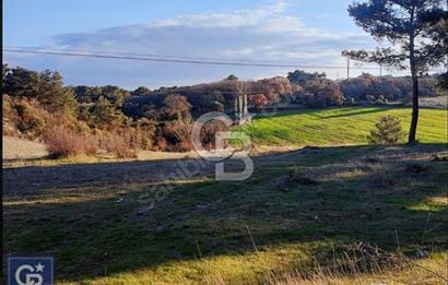 ÇANAKKALE/AYVACIK'TA EKO TURİZM KURUM ONAYLARI ALINMIŞ 15.520M²