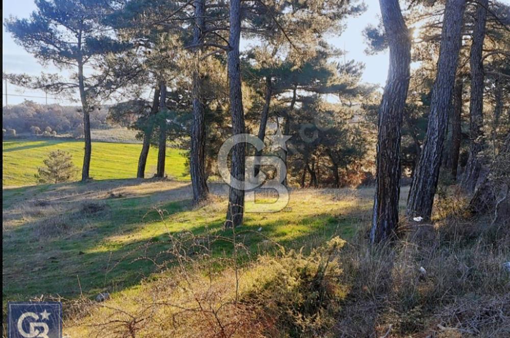 ÇANAKKALE/AYVACIK'TA EKO TURİZM KURUM ONAYLARI ALINMIŞ 15.520M²