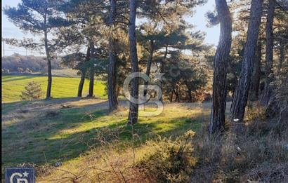 ÇANAKKALE/AYVACIK'TA EKO TURİZM KURUM ONAYLARI ALINMIŞ 15.520M²