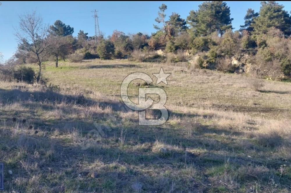 ÇANAKKALE/AYVACIK'TA EKO TURİZM KURUM ONAYLARI ALINMIŞ 15.520M²