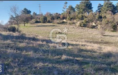 ÇANAKKALE/AYVACIK'TA EKO TURİZM KURUM ONAYLARI ALINMIŞ 15.520M²