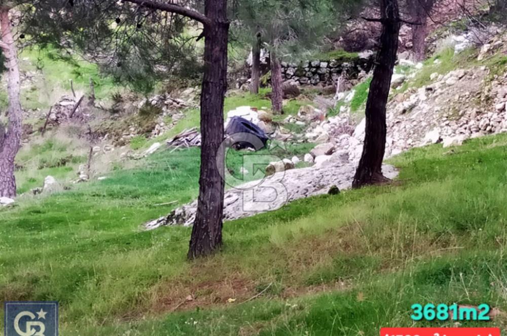 ÇANAKKALE/AYVACIK ASSOS/AHMETÇE'DE 3681M²KÖY İÇİ (1588M² İMARDA)