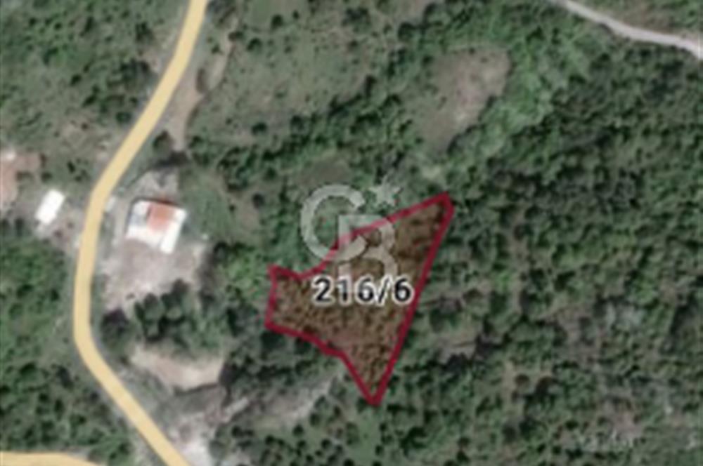 ÇANAKKALE/AYVACIK ASSOS/AHMETÇE'DE 3681M²KÖY İÇİ (1588M² İMARDA)