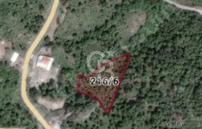 ÇANAKKALE/AYVACIK ASSOS/AHMETÇE'DE 3681M²KÖY İÇİ (1588M² İMARDA)