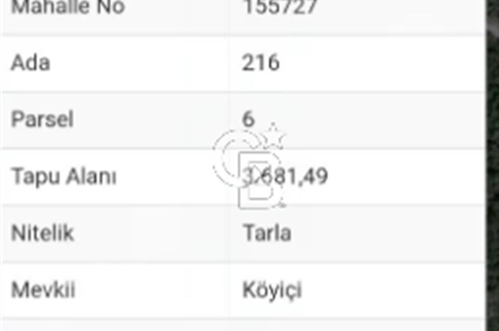 ÇANAKKALE/AYVACIK ASSOS/AHMETÇE'DE 3681M²KÖY İÇİ (1588M² İMARDA)