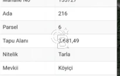 ÇANAKKALE/AYVACIK ASSOS/AHMETÇE'DE 3681M²KÖY İÇİ (1588M² İMARDA)
