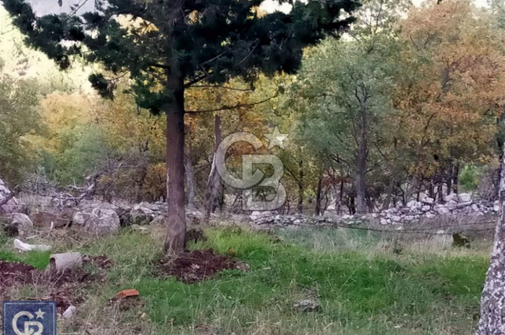 ÇANAKKALE/AYVACIK ASSOS/AHMETÇE'DE 3681M²KÖY İÇİ (1588M² İMARDA)