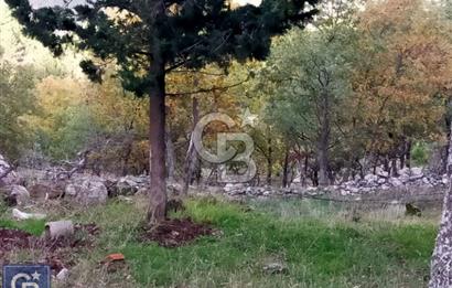 ÇANAKKALE/AYVACIK ASSOS/AHMETÇE'DE 3681M²KÖY İÇİ (1588M² İMARDA)