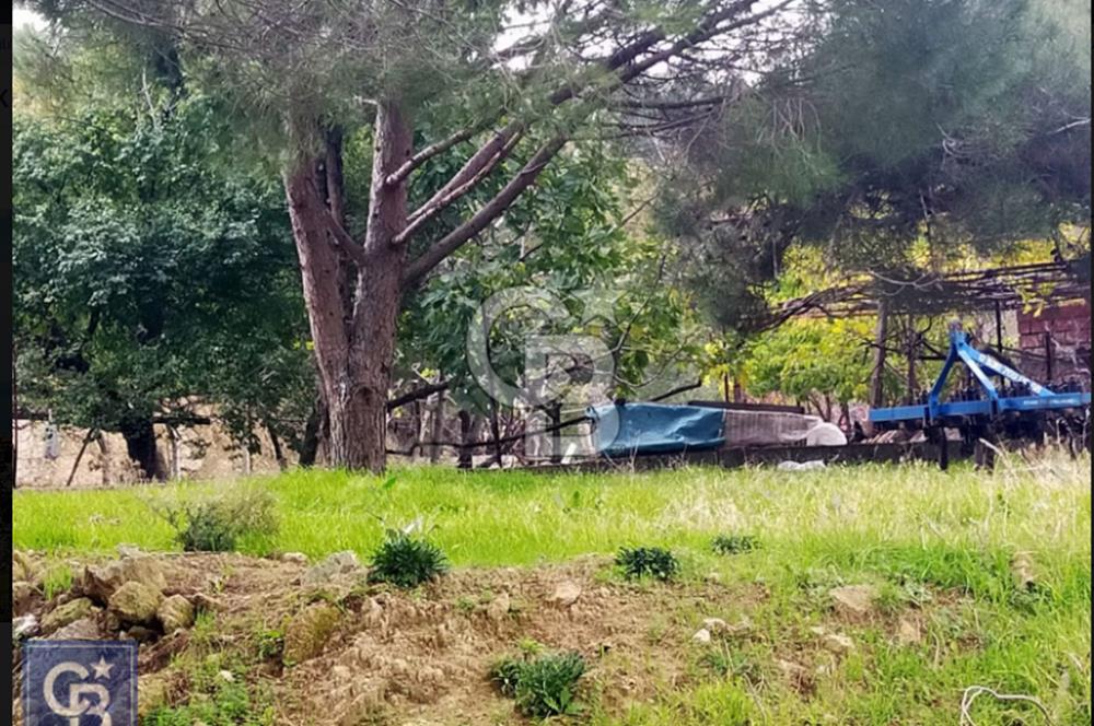 ÇANAKKALE/AYVACIK ASSOS/AHMETÇE'DE 3681M²KÖY İÇİ (1588M² İMARDA)