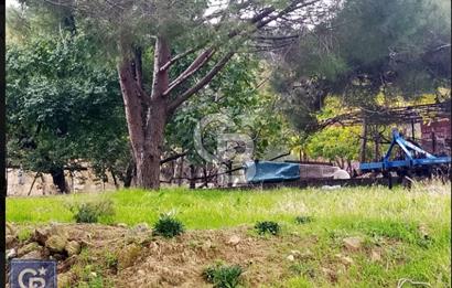 ÇANAKKALE/AYVACIK ASSOS/AHMETÇE'DE 3681M²KÖY İÇİ (1588M² İMARDA)