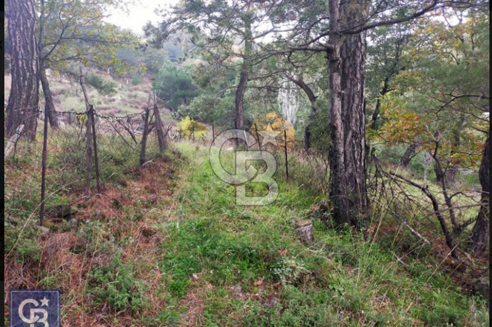 ÇANAKKALE/AYVACIK ASSOS/AHMETÇE'DE 3681M²KÖY İÇİ (1588M² İMARDA)