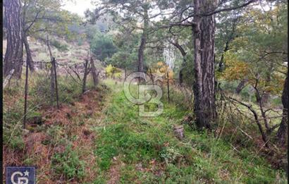 ÇANAKKALE/AYVACIK ASSOS/AHMETÇE'DE 3681M²KÖY İÇİ (1588M² İMARDA)