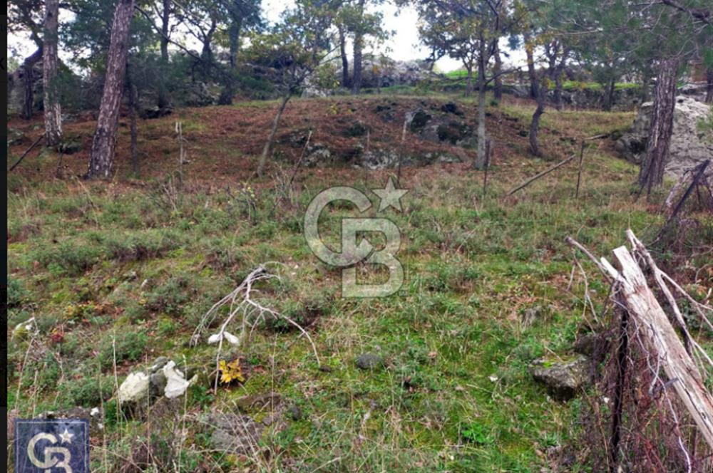 ÇANAKKALE/AYVACIK ASSOS/AHMETÇE'DE 3681M²KÖY İÇİ (1588M² İMARDA)