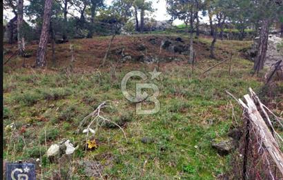 ÇANAKKALE/AYVACIK ASSOS/AHMETÇE'DE 3681M²KÖY İÇİ (1588M² İMARDA)