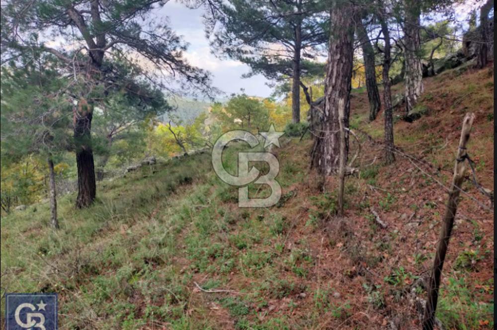 ÇANAKKALE/AYVACIK ASSOS/AHMETÇE'DE 3681M²KÖY İÇİ (1588M² İMARDA)