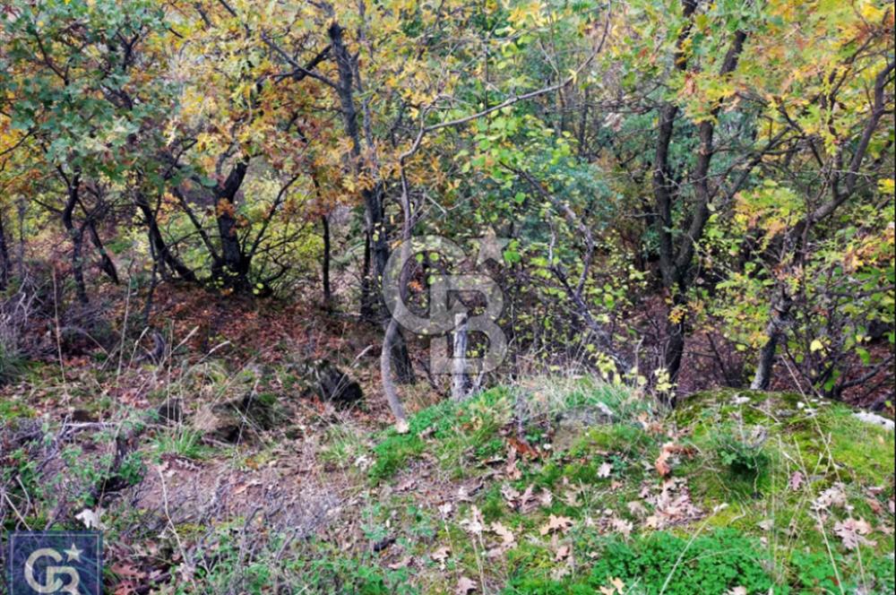 ÇANAKKALE/AYVACIK ASSOS/AHMETÇE'DE 3681M²KÖY İÇİ (1588M² İMARDA)