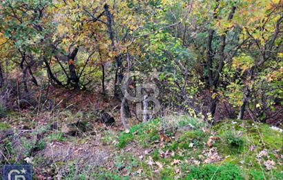 ÇANAKKALE/AYVACIK ASSOS/AHMETÇE'DE 3681M²KÖY İÇİ (1588M² İMARDA)