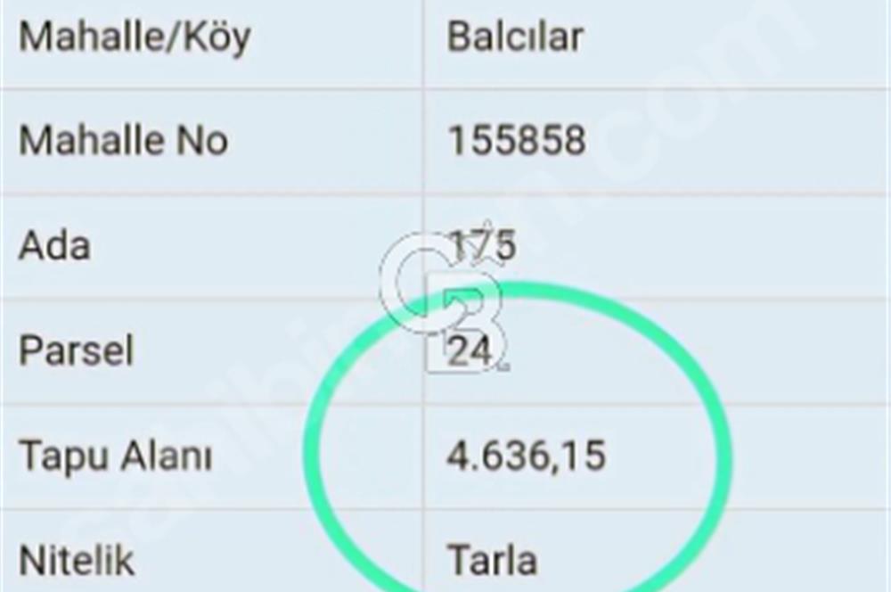 Lapseki"1915 boğaz köprüsüne 20dk Balcılar köyü'nde"4636m²arazi"