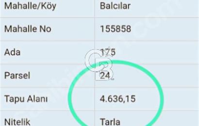 Lapseki"1915 boğaz köprüsüne 20dk Balcılar köyü'nde"4636m²arazi"