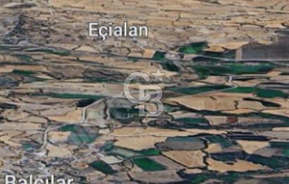 Lapseki"1915 boğaz köprüsüne 20dk Balcılar köyü'nde"4636m²arazi"