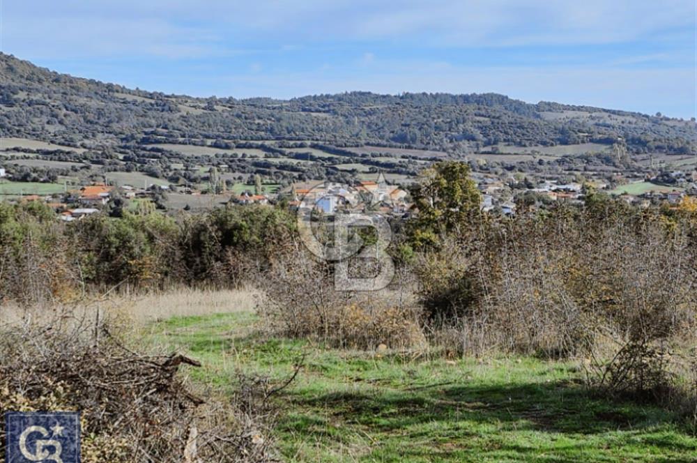 Lapseki"1915 boğaz köprüsüne 20dk Balcılar köyü'nde"4636m²arazi"