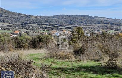 Lapseki"1915 boğaz köprüsüne 20dk Balcılar köyü'nde"4636m²arazi"