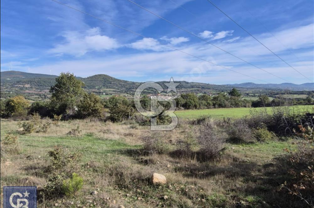 Lapseki"1915 boğaz köprüsüne 20dk Balcılar köyü'nde"4636m²arazi"