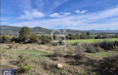 Lapseki"1915 boğaz köprüsüne 20dk Balcılar köyü'nde"4636m²arazi"