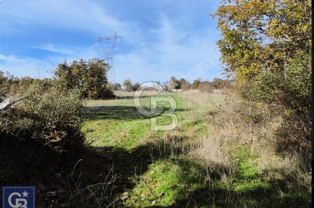 Lapseki"1915 boğaz köprüsüne 20dk Balcılar köyü'nde"4636m²arazi"