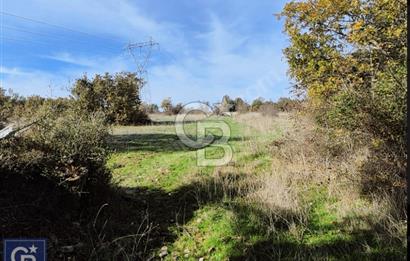 Lapseki"1915 boğaz köprüsüne 20dk Balcılar köyü'nde"4636m²arazi"